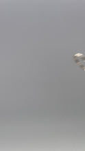 Load and play video in Gallery viewer, Minimal Stripes
